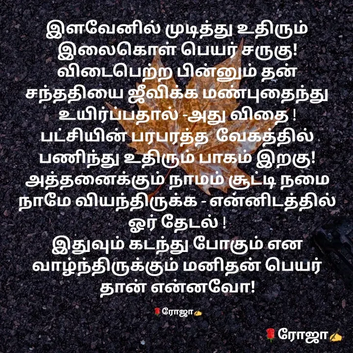 Quote by NIRO Niro -  - Made using Quotes Creator App, Post Maker App