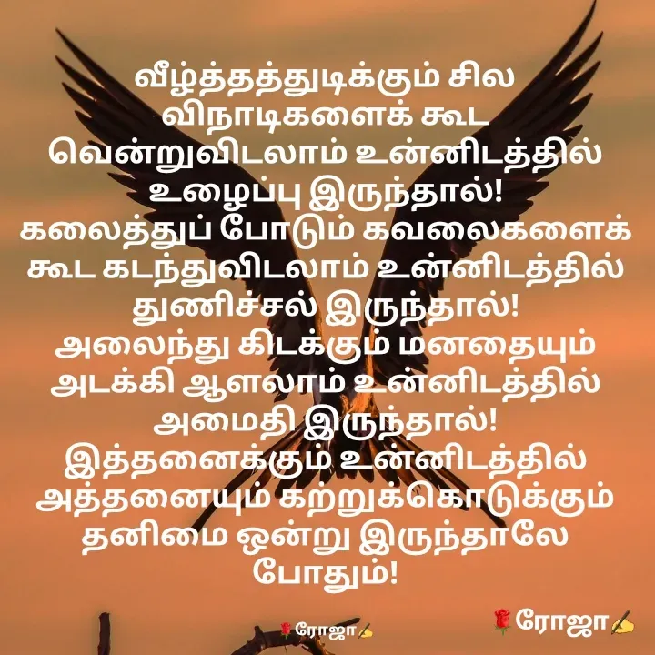 Quote by NIRO Niro -  - Made using Quotes Creator App, Post Maker App
