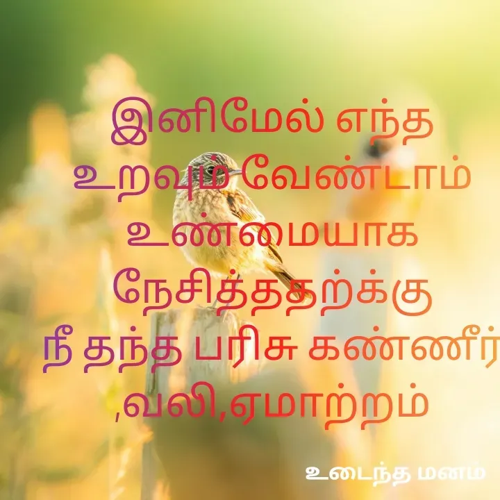 Quote by devi devi - இனிமேல் எந்த உறவும் வேண்டாம்
உண்மையாக நேசித்ததற்க்கு
நீ தந்த பரிசு கண்ணீர்,வலி,ஏமாற்றம் - Made using Quotes Creator App, Post Maker App