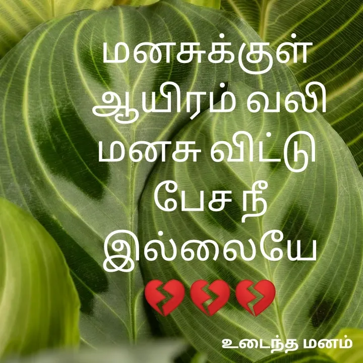 Quote by devi devi - மனசுக்குள் 
ஆயிரம் வலி
மனசு விட்டு 
பேச நீ இல்லையே
💔💔💔 - Made using Quotes Creator App, Post Maker App
