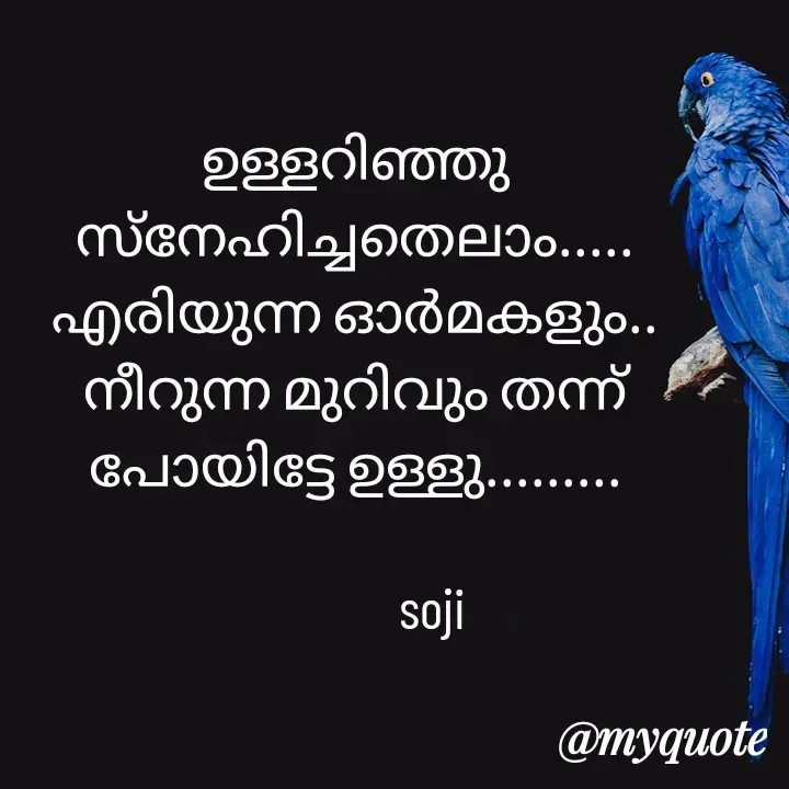 Quote by Soji k raju -  - Made using Quotes Creator App, Post Maker App