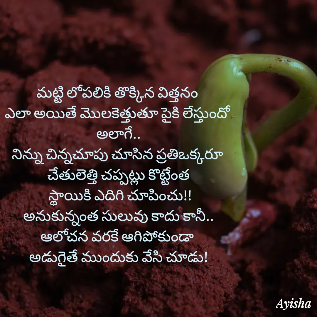 Quote by New life * - మట్టి లోపలికి తొక్కిన విత్తనం 
ఎలా అయితే మొలకెత్తుతూ పైకి లేస్తుందో 
అలాగే..
నిన్ను చిన్నచూపు చూసిన ప్రతిఒక్కరూ 
చేతులెత్తి చప్పట్లు కొట్టేంత
 స్థాయికి ఎదిగి చూపించు!!
అనుకున్నంత సులువు కాదు కానీ..
ఆలోచన వరకే ఆగిపోకుండా 
అడుగైతే ముందుకు వేసి చూడు!
 - Made using Quotes Creator App, Post Maker App