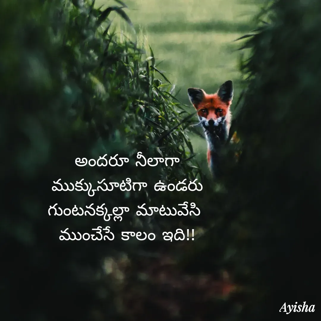 Quote by New life * -  - Made using Quotes Creator App, Post Maker App