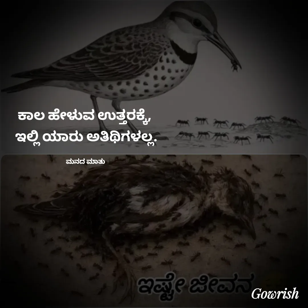 Quote by Gowrish - ಕಾಲ ಹೇಳುವ ಉತ್ತರಕ್ಕೆ, 
ಇಲ್ಲಿ ಯಾರು ಅತಿಥಿಗಳಲ್ಲ‌.

ಮನದ ಮಾತು  - Made using Quotes Creator App, Post Maker App