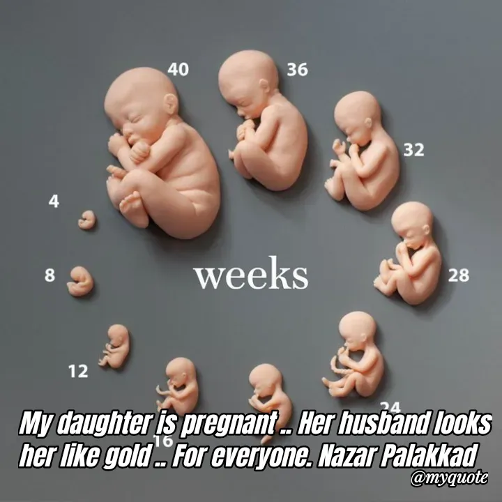 Quote by H.mohamed Nazar - My daughter is pregnant .. Her husband looks her like gold .. For everyone. Nazar Palakkad  - Made using Quotes Creator App, Post Maker App