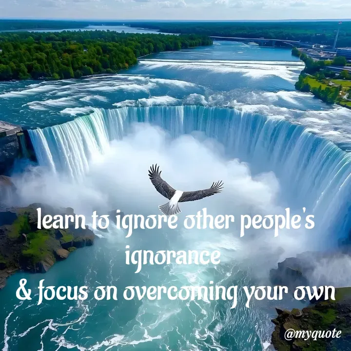 Quote by adriangemini - learn to ignore other people's ignorance 
& focus on overcoming your own - Made using Quotes Creator App, Post Maker App