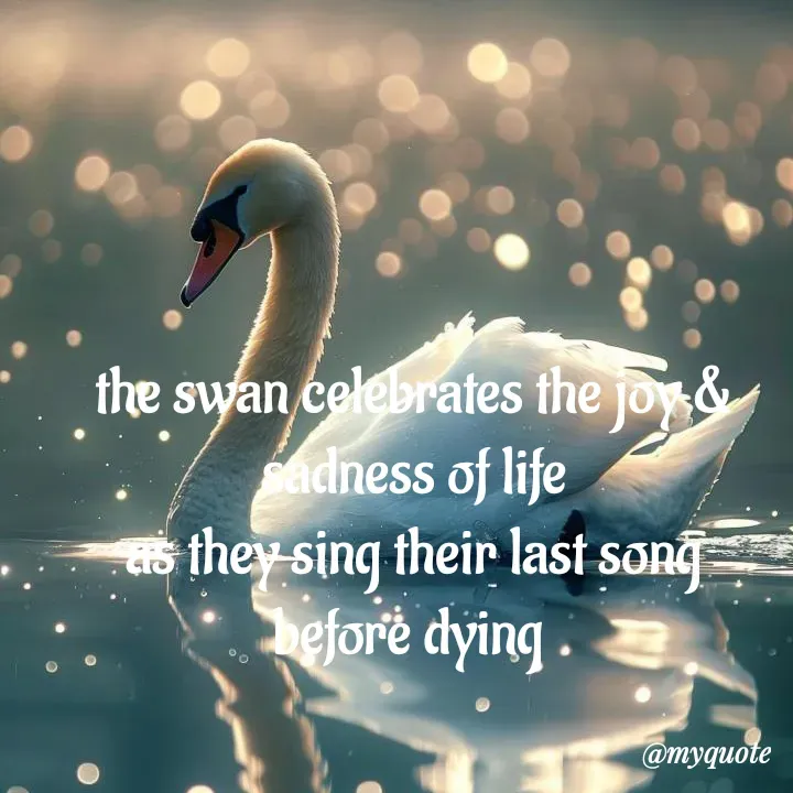 Quote by adriangemini - the swan celebrates the joy & sadness of life
as they sing their last song
before dying  - Made using Quotes Creator App, Post Maker App