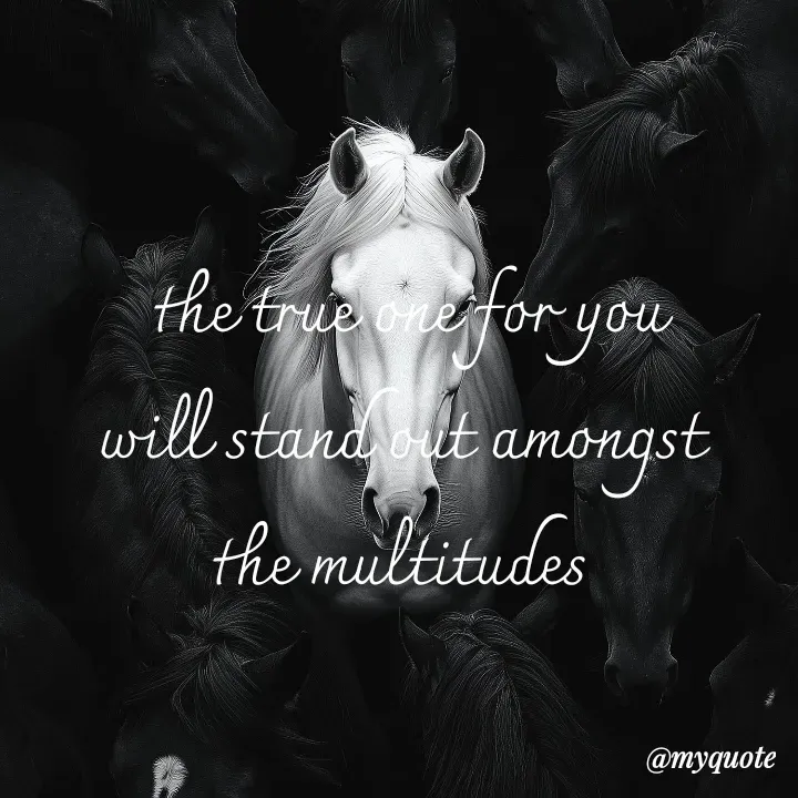 Quote by adriangemini - the true one for you
will stand out amongst 
the multitudes  - Made using Quotes Creator App, Post Maker App