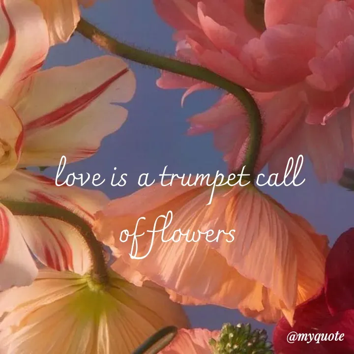 Quote by adriangemini - love is a trumpet call
of flowers - Made using Quotes Creator App, Post Maker App