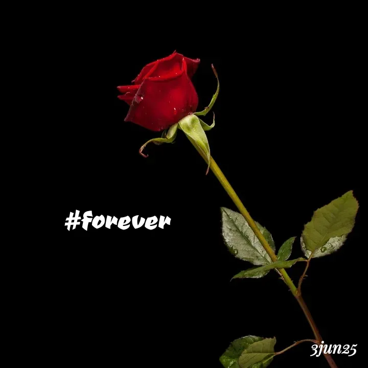 Quote by soul💞💞 -  - Made using Quotes Creator App, Post Maker App