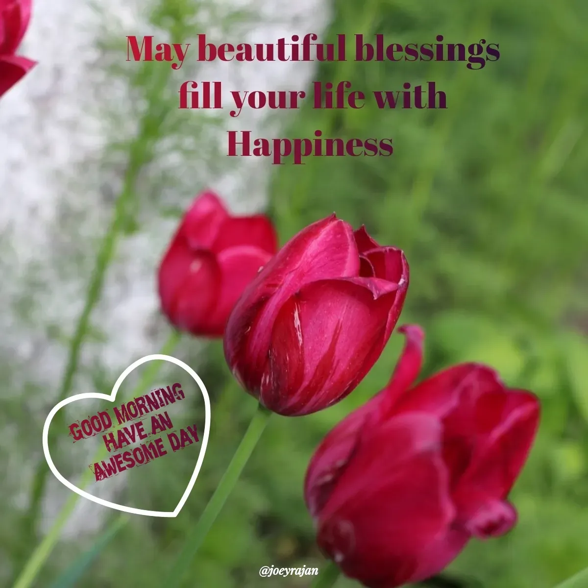 Quote by Joseph Rajan - Good Morning 
Have an
 Awesome day  - Made using Quotes Creator App, Post Maker App