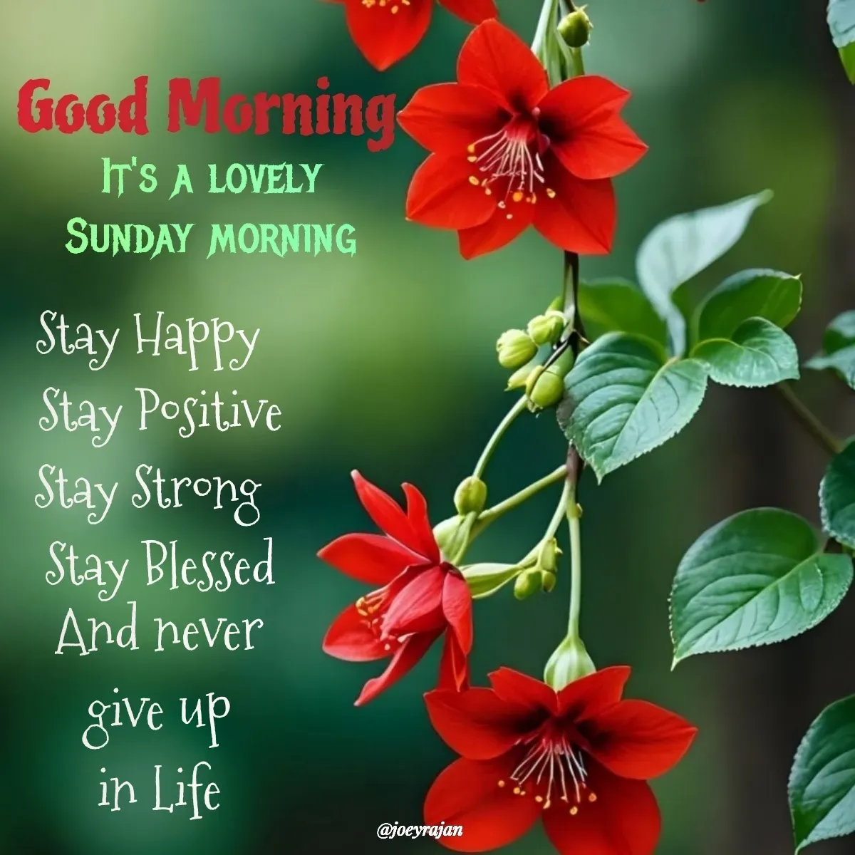 Quote by Joseph Rajan - And never 
give up 
in Life  - Made using Quotes Creator App, Post Maker App