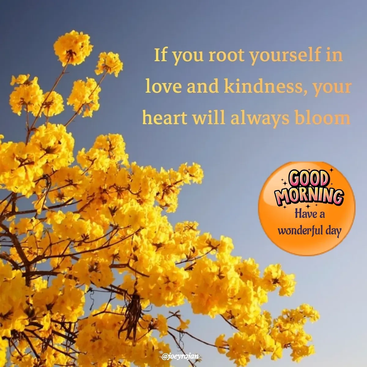 Quote by Joseph Rajan - Have a
 wonderful day  - Made using Quotes Creator App, Post Maker App