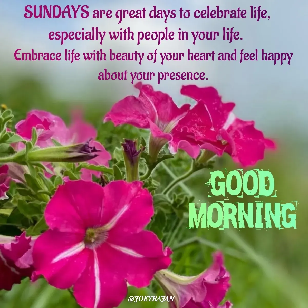 Quote by Joseph Rajan - Embrace life with beauty of your heart and feel happy about your presence. - Made using Quotes Creator App, Post Maker App