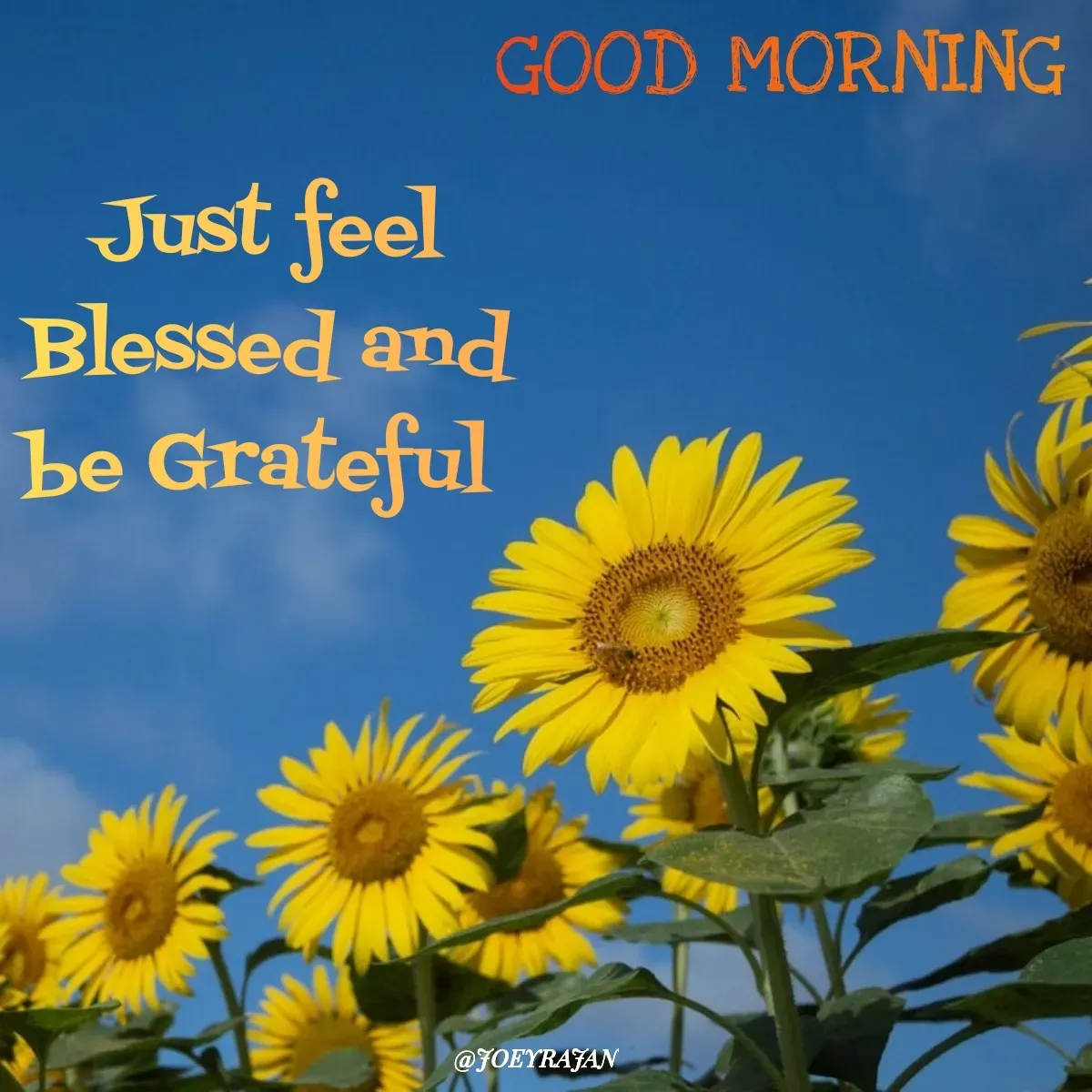 Quote by Joseph Rajan - Just feel Blessed and be Grateful  - Made using Quotes Creator App, Post Maker App