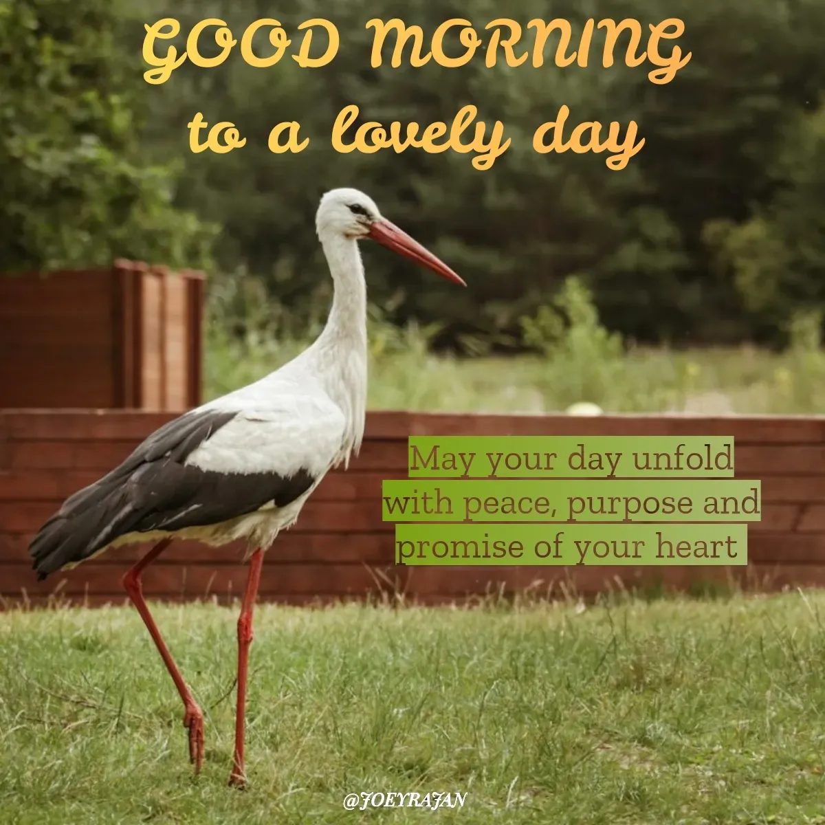 Quote by Joseph Rajan - GOOD MORNING 
to a lovely day  - Made using Quotes Creator App, Post Maker App