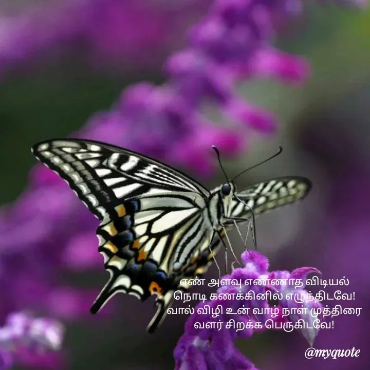 Quote by Rukaiya _Rahuman -  - Made using Quotes Creator App, Post Maker App