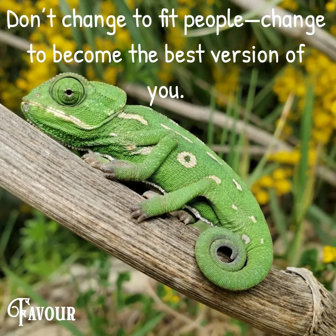 Quote by Favour - Don’t change to fit people—change to become the best version of you. - Made using Quotes Creator App, Post Maker App