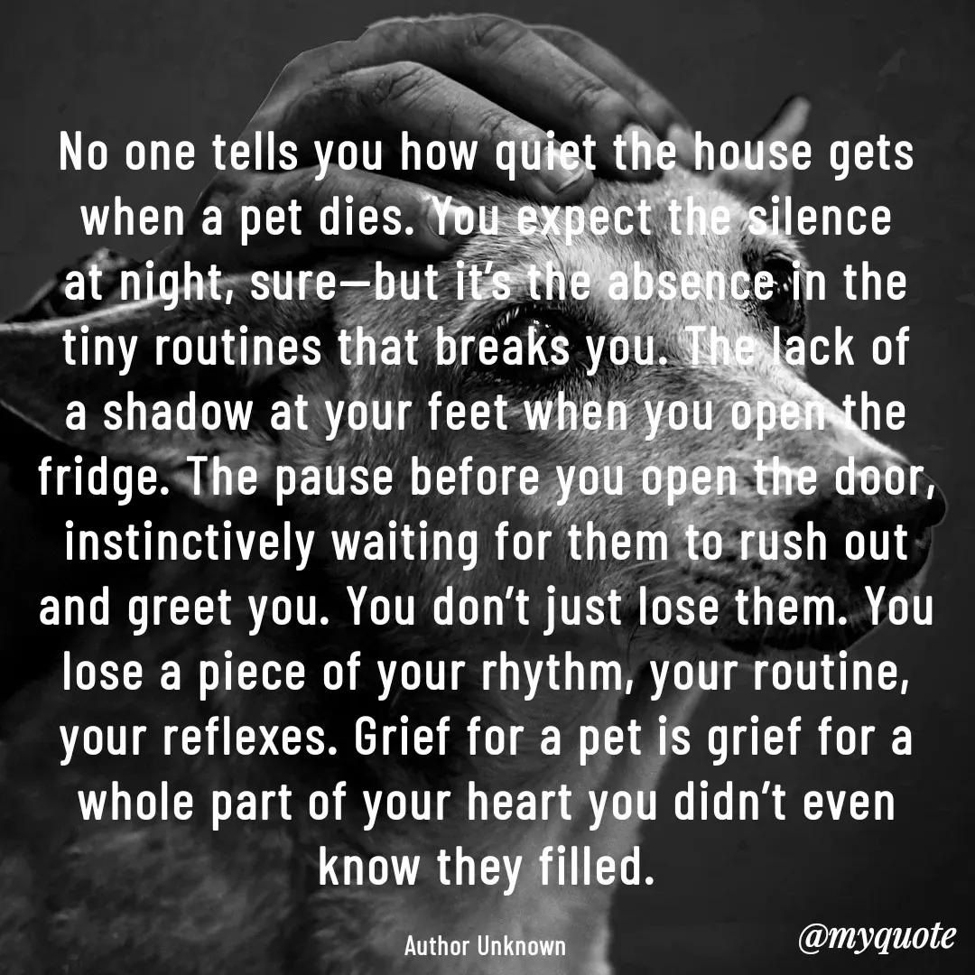 Quote by Philipose John - No one tells you how quiet the house gets when a pet dies. You expect the silence at night, sure—but it’s the absence in the tiny routines that breaks you. The lack of a shadow at your feet when you open the fridge. The pause before you open the door, instinctively waiting for them to rush out and greet you. You don’t just lose them. You lose a piece of your rhythm, your routine, your reflexes. Grief for a pet is grief for a whole part of your heart you didn’t even know they filled.

Author Unknown - Made using Quotes Creator App, Post Maker App