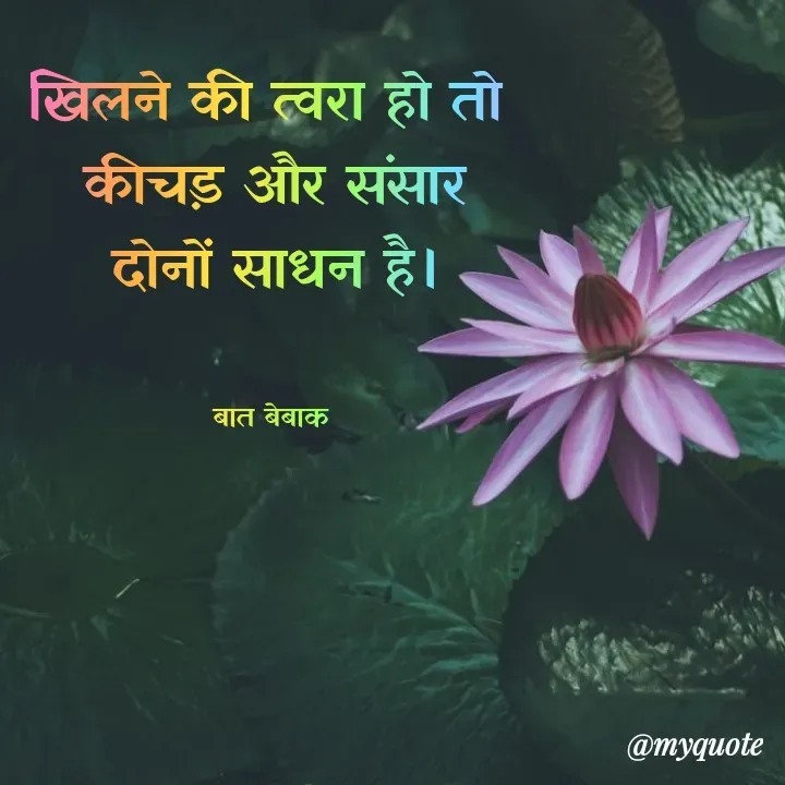 Quote by बात बेबाक - खिलने की त्वरा हो तो 
कीचड़ और संसार दोनों साधन है।


बात बेबाक  - Made using Quotes Creator App, Post Maker App