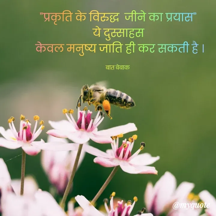 Quote by बात बेबाक - ”प्रकृति के विरुद्ध  जीने का प्रयास”
ये दुस्साहस
 केवल मनुष्य जाति ही कर सकती है ।

बात बेबाक  - Made using Quotes Creator App, Post Maker App