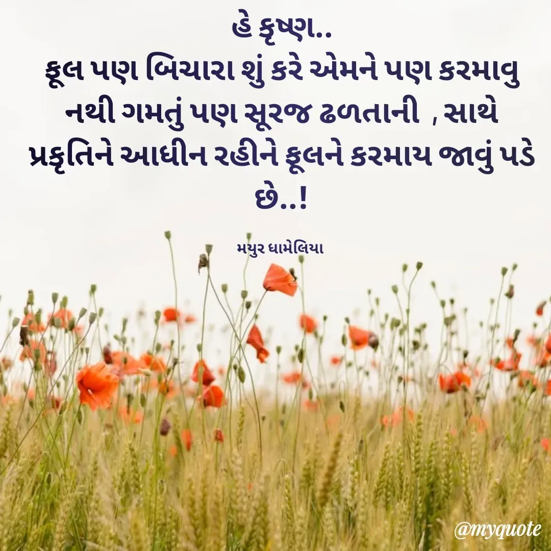 Quote by Mayur Dhameliya -  - Made using Quotes Creator App, Post Maker App