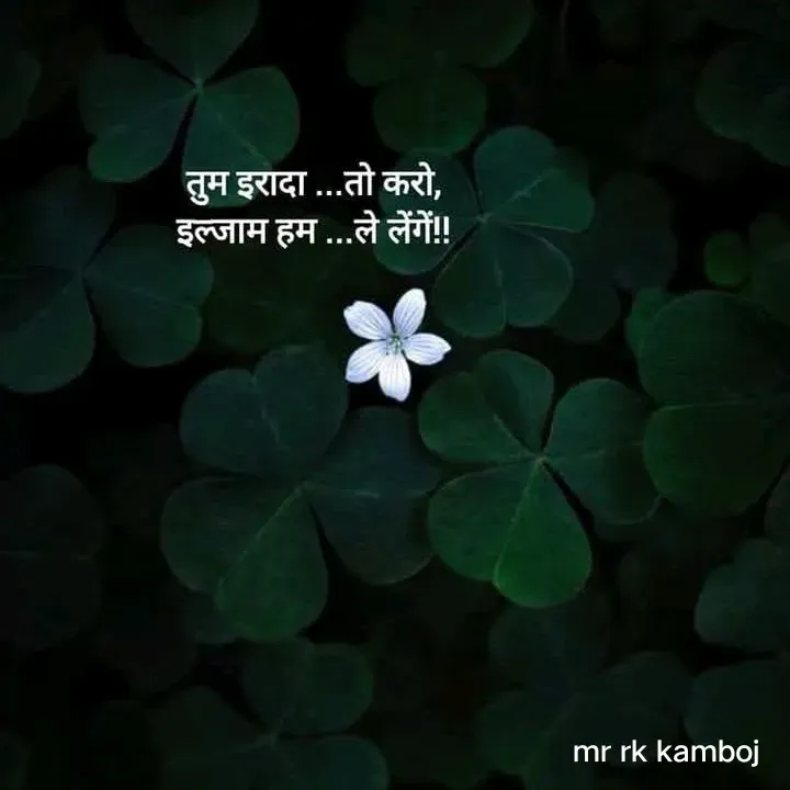 Quote by Mr rk Kamboj - Double tap to change text. - Made using Quotes Creator App, Post Maker App