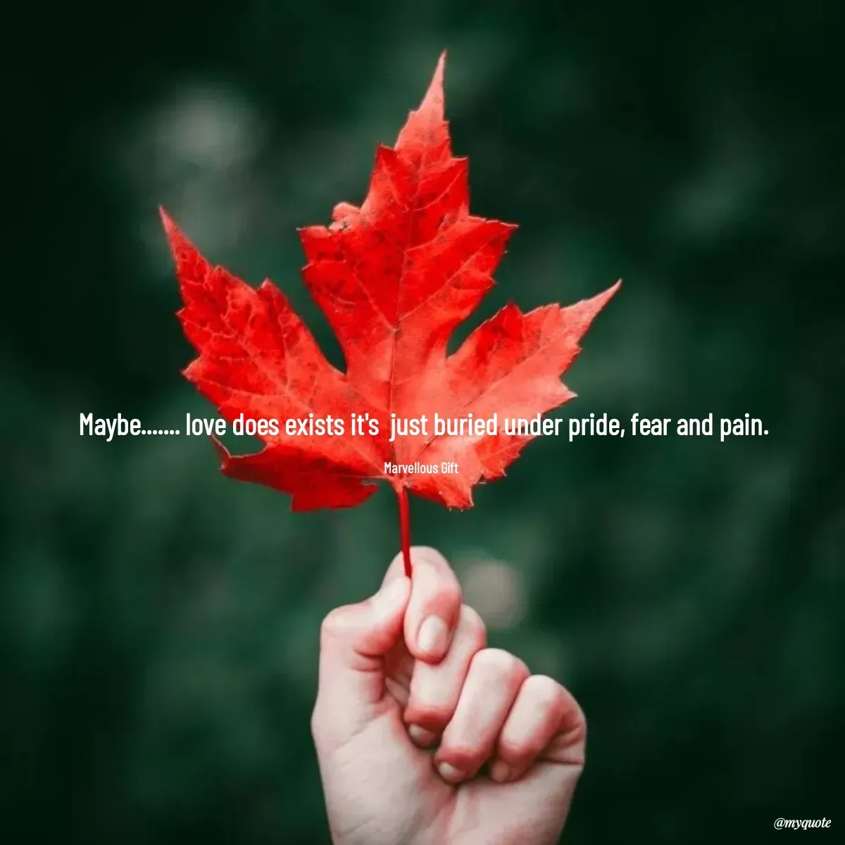 Quote by Marvellous Gift - Maybe....... love does exists it's  just buried under pride, fear and pain.

Marvellous Gift  - Made using Quotes Creator App, Post Maker App