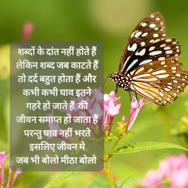 Quote by Muskan Kumari - शब्दों के दांत नहीं होते हैं लेकिन शब्द जब काटते हैं                                                   तो दर्द बहुत होता हैं और कभी कभी घाव इतने गहरे हो जाते हैं  की   जीवन समाप्त हो जाता हैं                        परन्तु घाव नहीं भरते इसलिए जीवन मे                                                               जब भी बोलो मीठा बोलो  - Made using Quotes Creator App, Post Maker App
