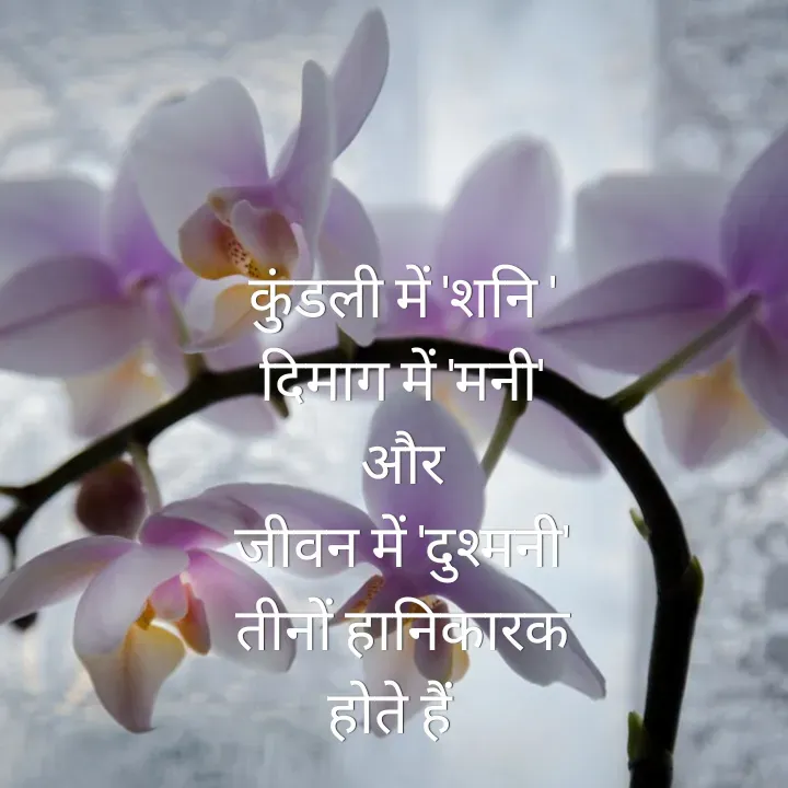 Quote by Muskan Kumari - कुंडली में 'शनि '                                                             दिमाग में 'मनी'                                                                  और                                                                                जीवन में 'दुश्मनी'                                                            तीनों हानिकारक                                                               होते हैं   - Made using Quotes Creator App, Post Maker App