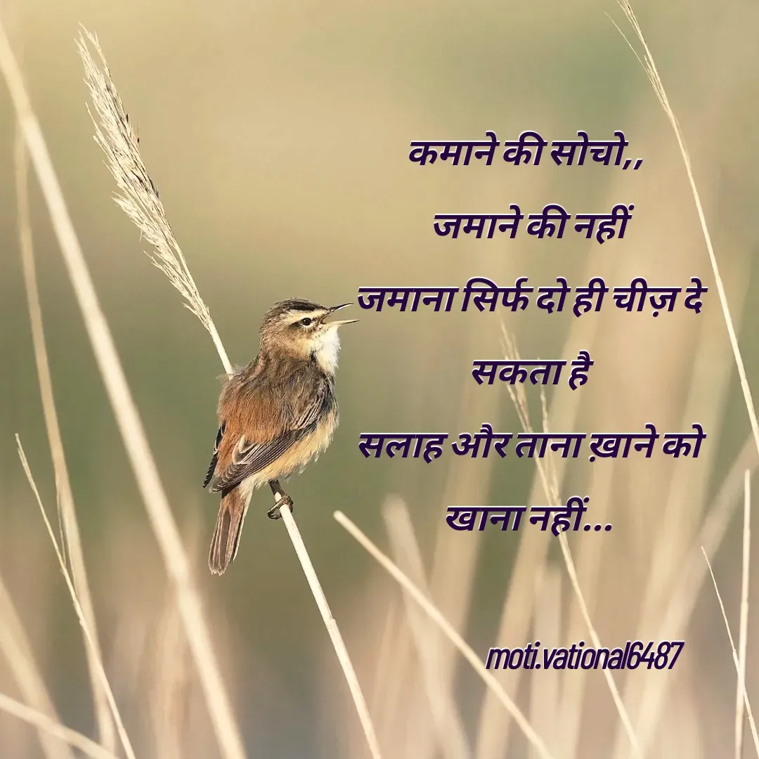 Quote by Manpreet Kaur - कमाने की सोचो,, 
जमाने की नहीं
जमाना सिर्फ दो ही चीज़ दे
सकता है
सलाह और ताना ख़ाने को
खाना नहीं...

                   moti.vational6487
             - Made using Quotes Creator App, Post Maker App