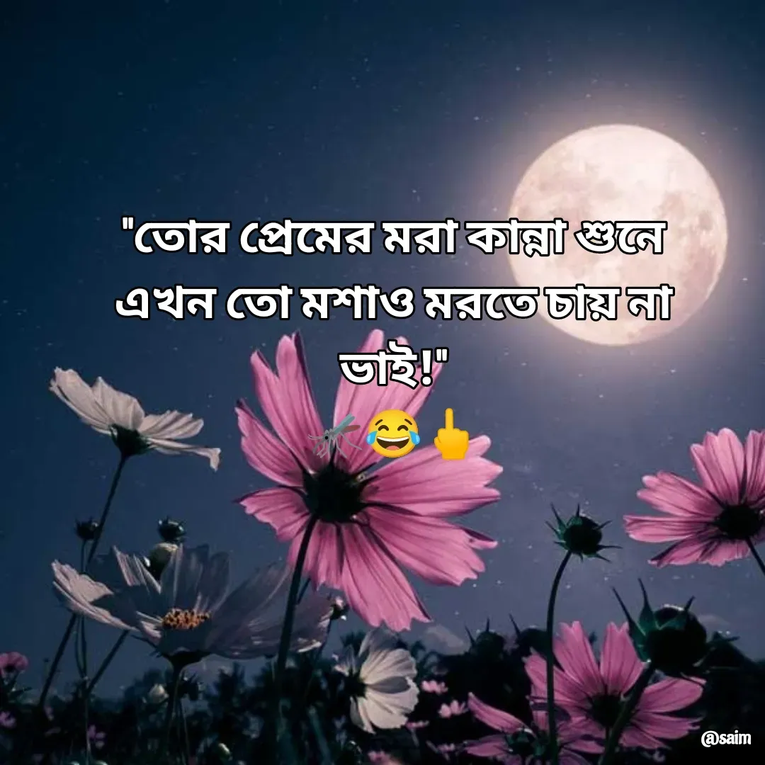 Quote by Saim Akhtar -  - Made using Quotes Creator App, Post Maker App