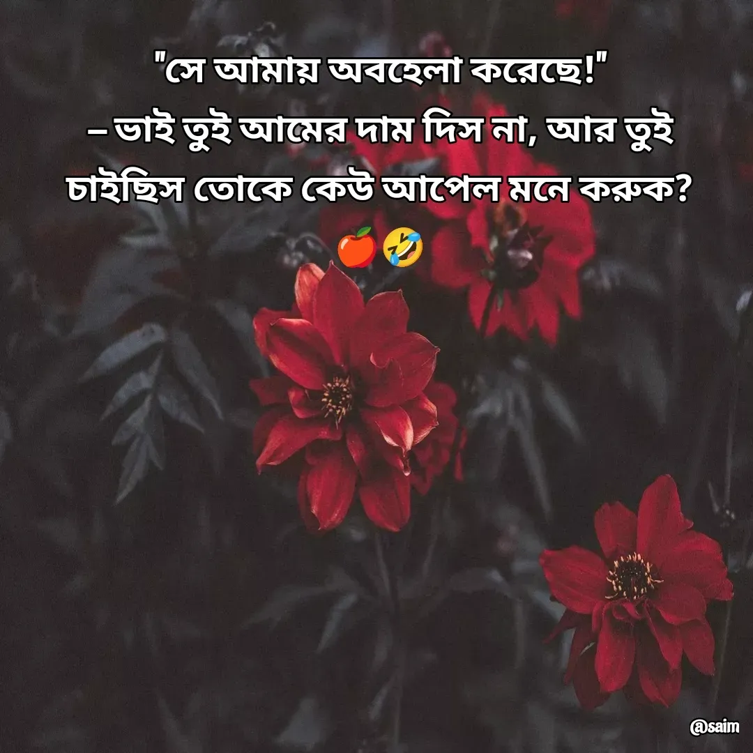 Quote by Saim Akhtar -  - Made using Quotes Creator App, Post Maker App