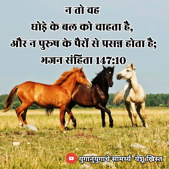 Quote by Maykal Mirpagar - न तो वह 
घोड़े के बल को चाहता है, 
और न पुरूष के पैरों से प्रसन्न होता है;
भजन संहिता 147:10

 - Made using Quotes Creator App, Post Maker App