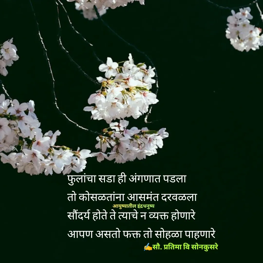 Quote by Pratima Sonkusare - फुलांचा सडा ही अंगणात पडला
ताे काेसळतांना आसमंत दरवळला
सौंदर्य हाेते ते त्याचे न व्यक्त हाेणारे
आपण असताे फक्त ताे साेहळा पाहणारे✍️सौ. प्रतिमा वि साेनकुसरेआयुष्यातील इंद्रधनुष्य - Made using Quotes Creator App, Post Maker App