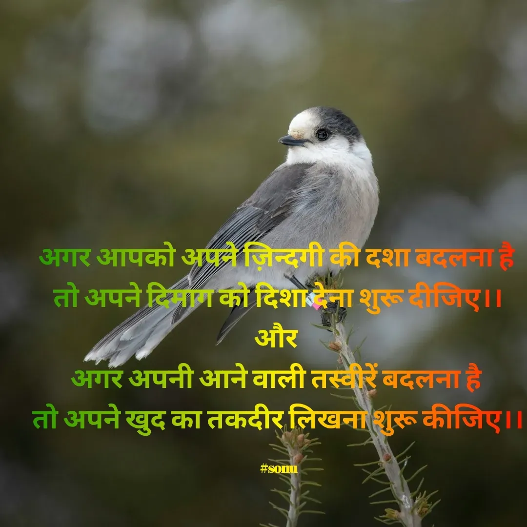 Quote by SK Mahto -  - Made using Quotes Creator App, Post Maker App