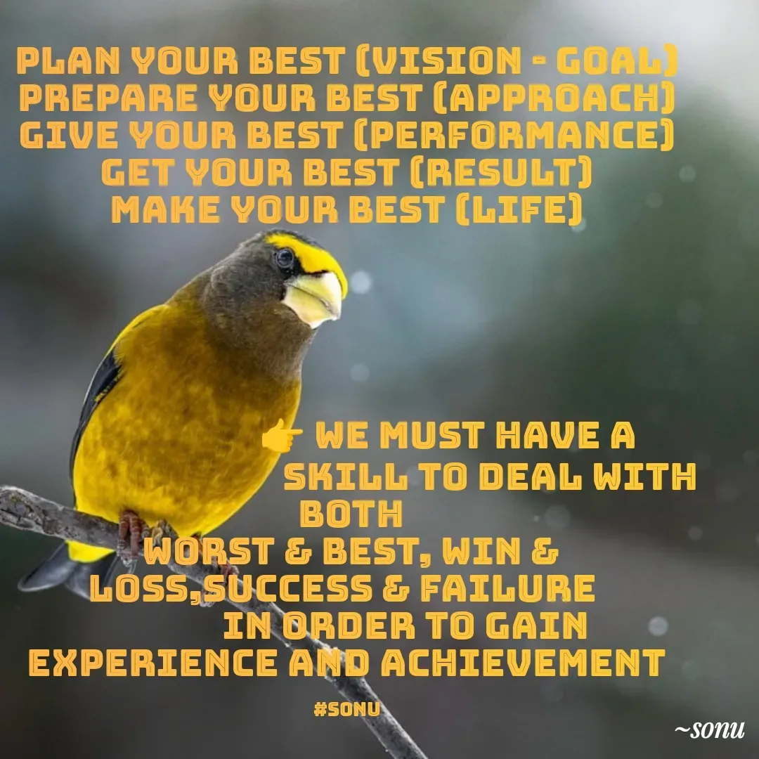 Quote by SK Mahto - PLAN YOUR BEST (VISION - GOAL)
PREPARE YOUR BEST (APPROACH)
GIVE YOUR BEST (PERFORMANCE)
GET YOUR BEST (RESULT)
MAKE YOUR BEST (LIFE)



             

                        👉 we must have a
                                   skill to deal with 
 both
 worst & best, win & loss,success & failure 
              in order to gain experience and achievement

#sonu - Made using Quotes Creator App, Post Maker App