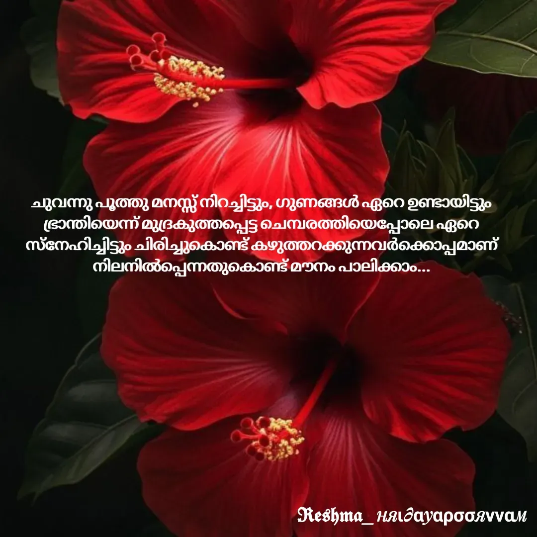 Quote by Sivedhya San -  - Made using Quotes Creator App, Post Maker App