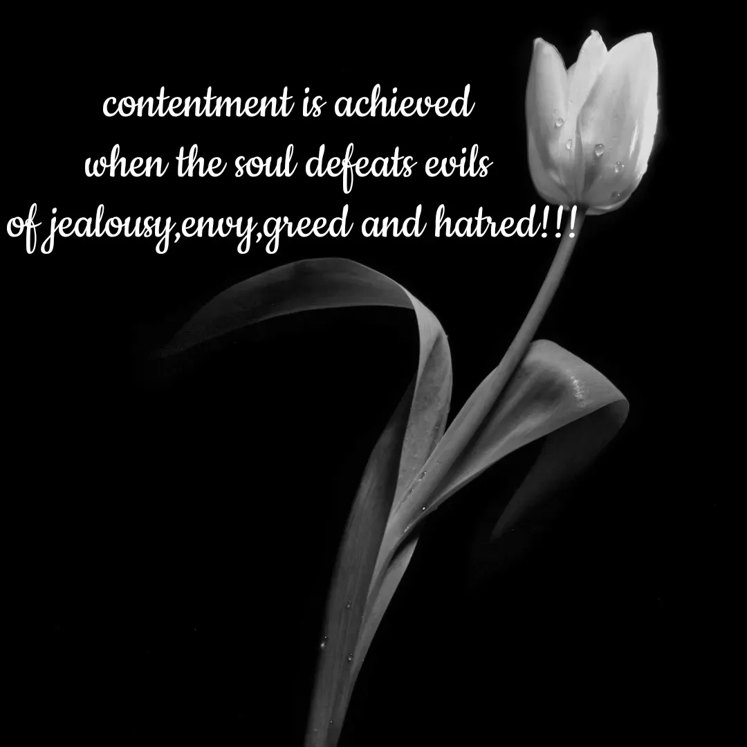 Quote by Tasneem Ara -  - Made using Quotes Creator App, Post Maker App