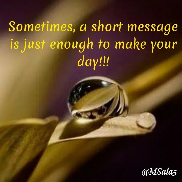 Quote by Anonymous -  - Made using Quotes Creator App, Post Maker App