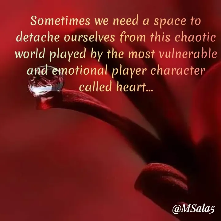 Quote by Anonymous -  - Made using Quotes Creator App, Post Maker App