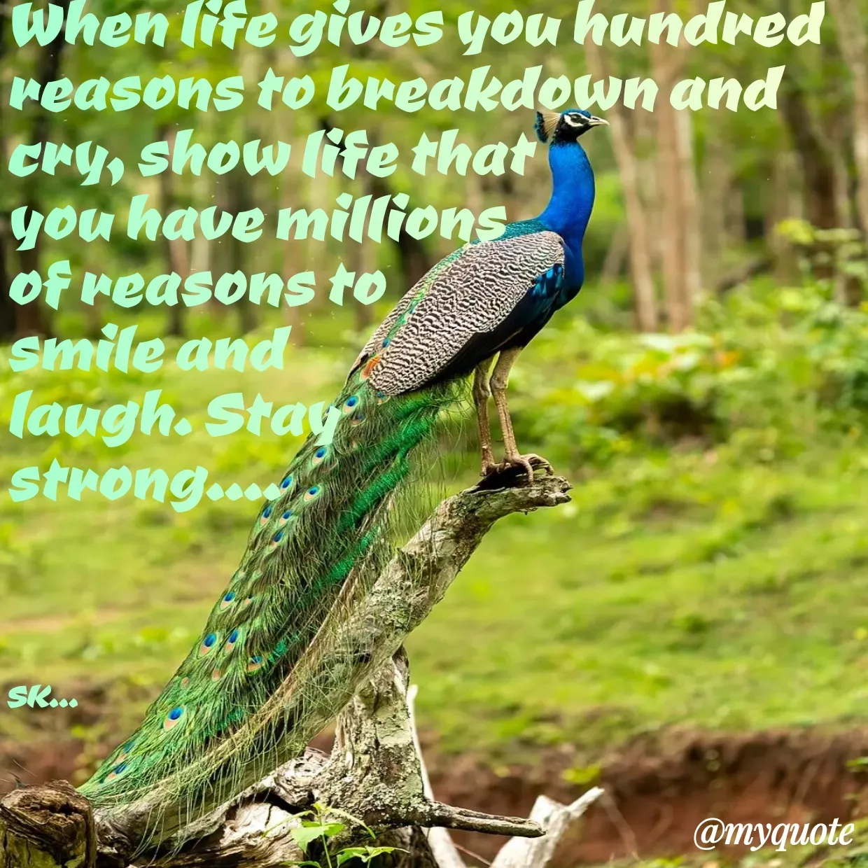 Quote by Surender Kumar -  - Made using Quotes Creator App, Post Maker App