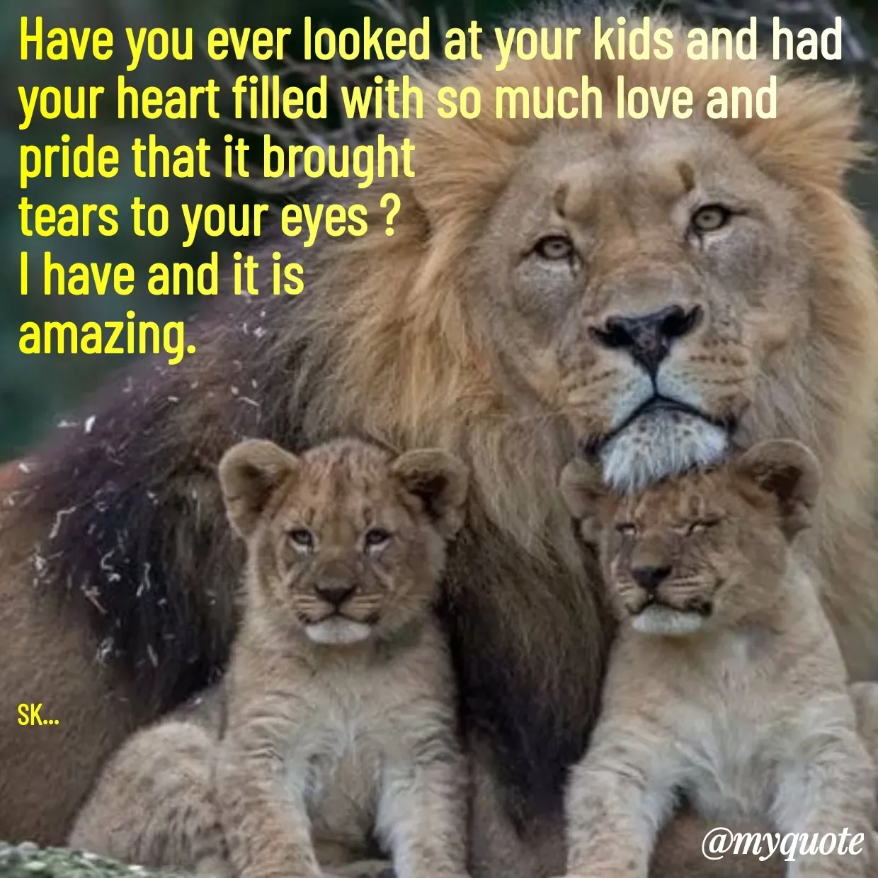 Quote by Surender Kumar - Have you ever looked at your kids and had your heart filled with so much love and pride that it brought 
tears to your eyes ?
I have and it is
amazing.







SK... - Made using Quotes Creator App, Post Maker App