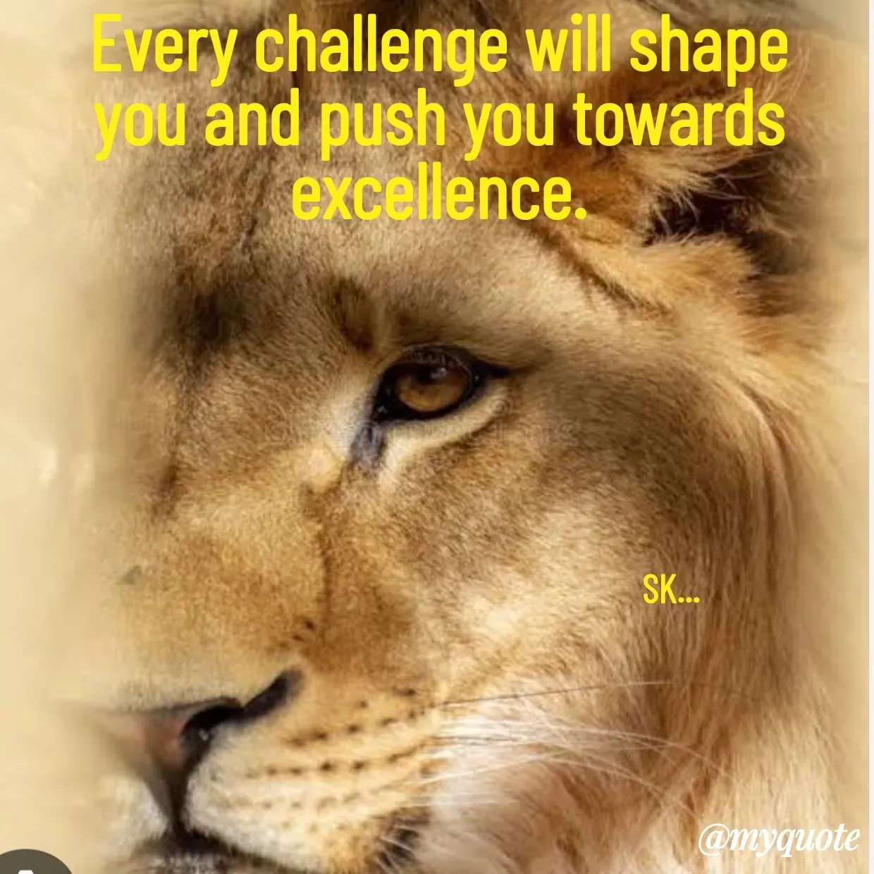 Quote by Surender - Every challenge will shape you and push you towards excellence.






                                                            SK... - Made using Quotes Creator App, Post Maker App