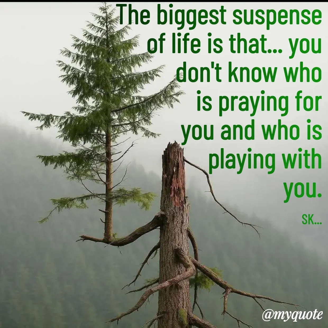Quote by Surender -  - Made using Quotes Creator App, Post Maker App