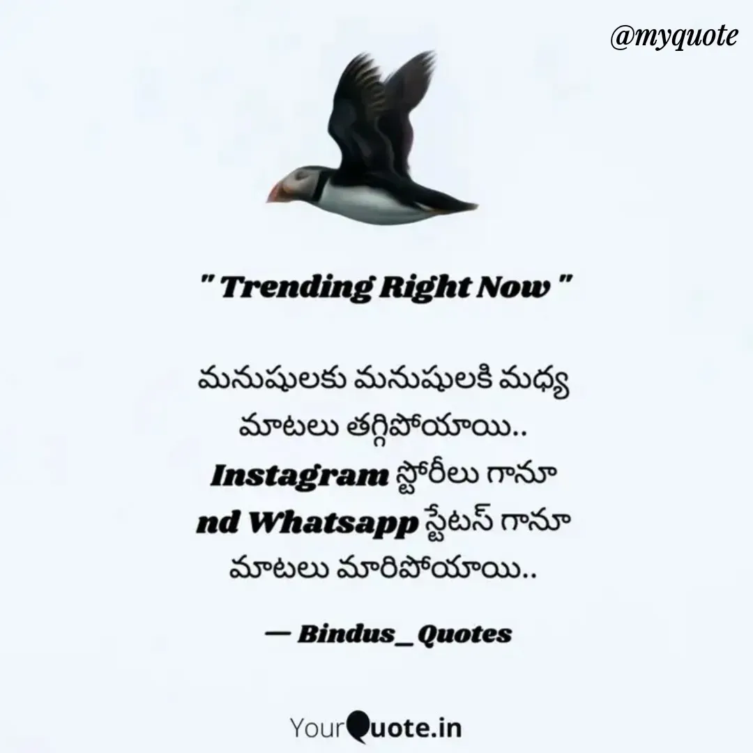 Quote by Bindu_Quotes_Writer -  - Made using Quotes Creator App, Post Maker App