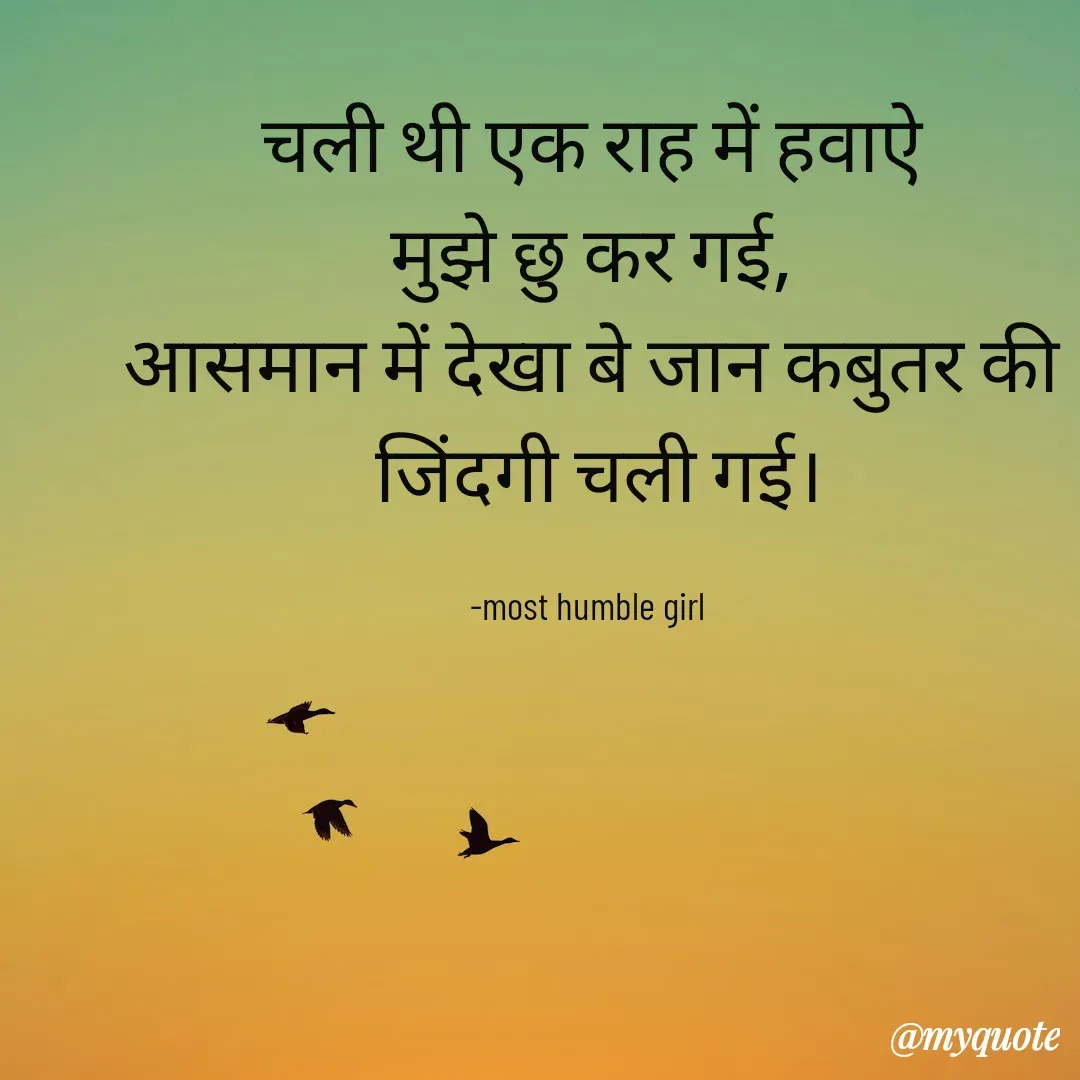Quote by humble girl -  चली थी एक राह में हवाऐ 
मुझे छु कर गई,
आसमान में देखा बे जान कबुतर की
 जिंदगी चली गई।

-most humble girl  - Made using Quotes Creator App, Post Maker App