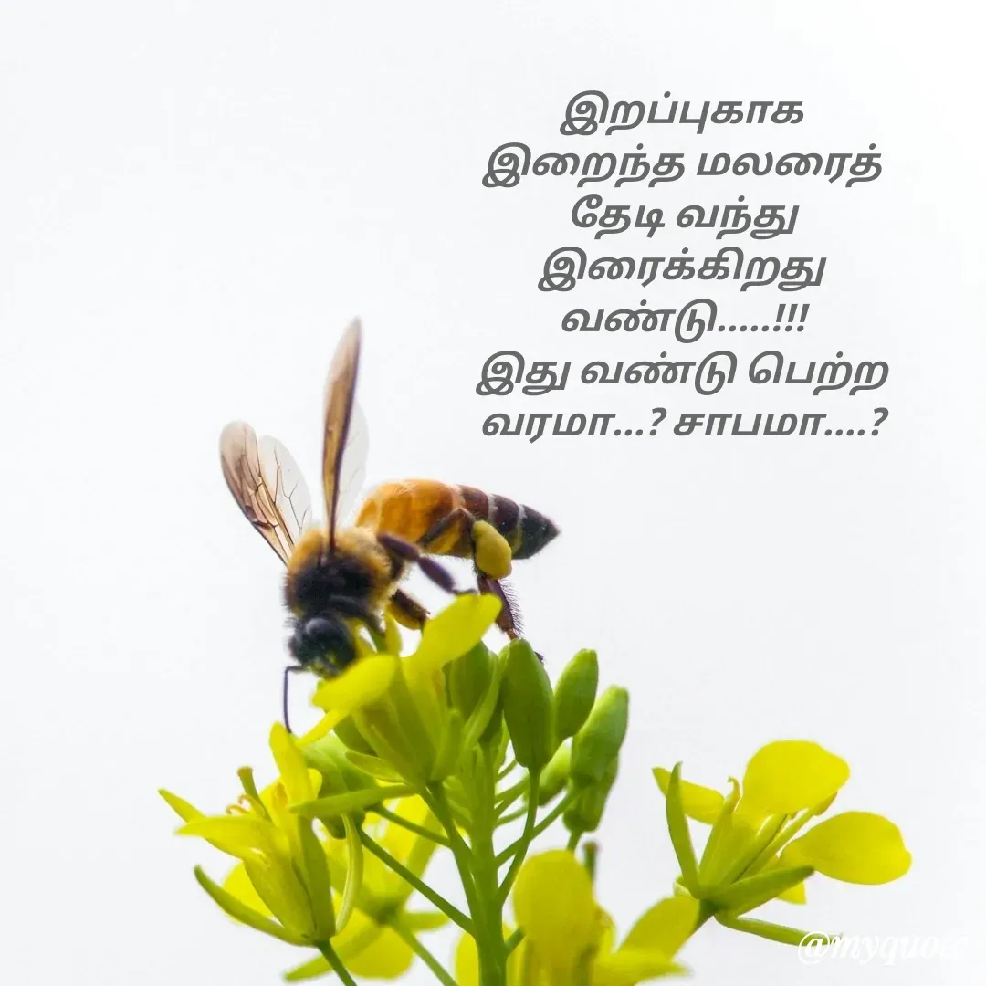 Quote by Adhimoolam R -  - Made using Quotes Creator App, Post Maker App