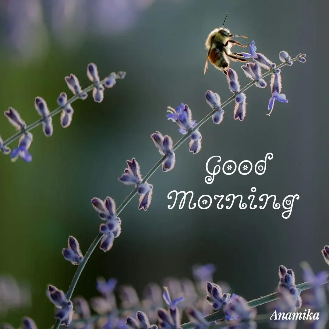 Quote by Anamika Banerjee 💜💜 - Good Morning  - Made using Quotes Creator App, Post Maker App