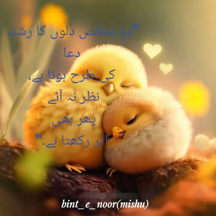 Quote by Mehwish Noor -  - Made using Quotes Creator App, Post Maker App